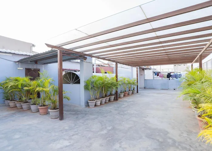 Olive Atnest Pg Hostel Hyderabad